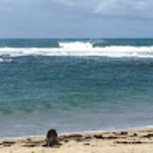 Meet your Posher, Peter and andrea